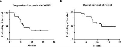 Retrospective Study of the Safety and Efficacy of Anlotinib Combined With Dose-Dense Temozolomide in Patients With Recurrent Glioblastoma